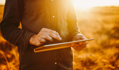 A young man stands with a digital tablet in a golden agricultural field. An experienced farmer works with a digital tablet at sunset. Concepts of farming, smart farming, and agriculture. © maxbelchenko