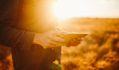 A young man stands with a digital tablet in a golden agricultural field. An experienced farmer works with a digital tablet at sunset. Concepts of farming, smart farming, and agriculture. © maxbelchenko