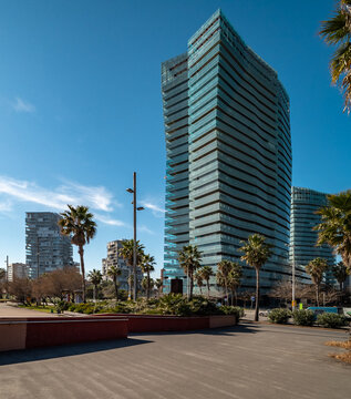 Modern skyscrapers surrounded by palm trees under a clear blue sky. Urban landscape showcasing contemporary architecture and greenery.