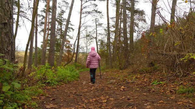 Little beautiful girl walks in Slovak Paradise, Slovakia