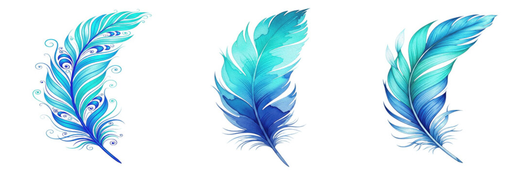 Set of a delicate blue bird feather, perfect for creative art projects, fashion accessory branding, and natural texture design