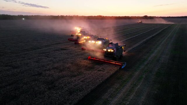 Drone view of multiple combine harvesters working in parallel under headlights at dusk, sweeping across vast grain fields and raising dust during a nighttime harvest operation