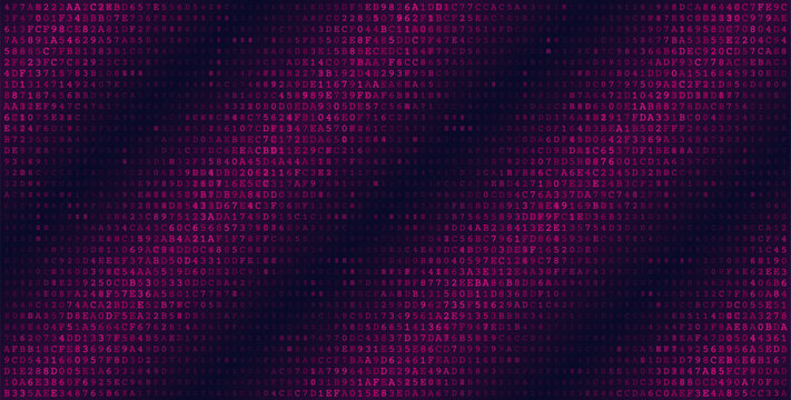 Monolithic Data Field - High Density Binary Code Grid for Enterprise Computing