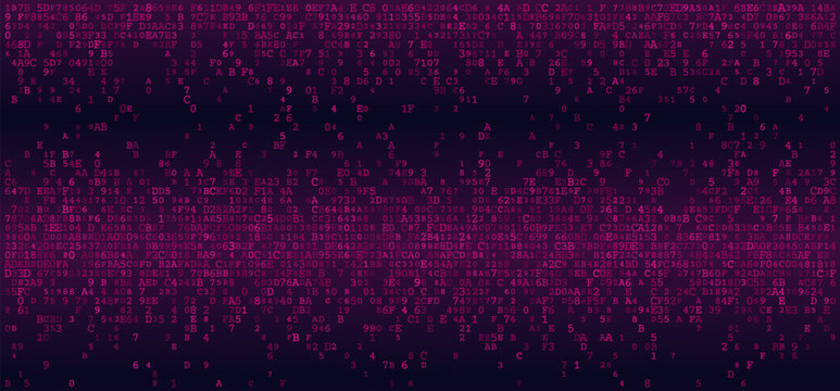 Linear Logic - A Structured Horizontal Distribution of Binary Fragments and System Protocols