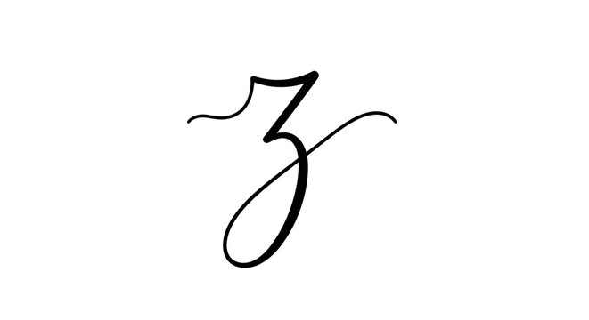 Elegant Calligraphy Letter Z, Script Font, Flourish Design, Isolated on White