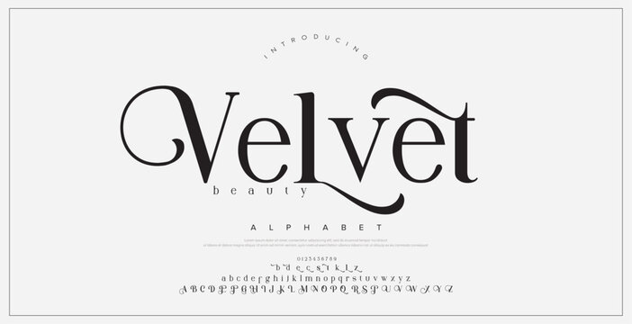 Elegant awesome alphabet letters font and number. unique serif font. Classic Lettering Minimal Fashion Designs. Typography fonts regular uppercase and lowercase. vector illustration