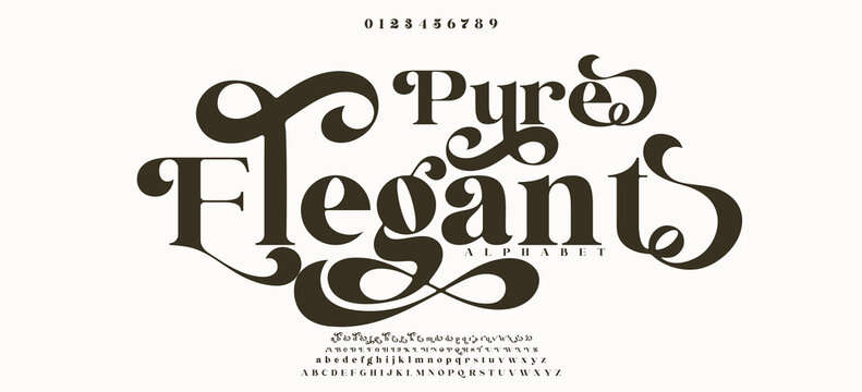 Elegant awesome alphabet letters font and number. unique serif font. Classic Lettering Minimal Fashion Designs. Typography fonts regular uppercase and lowercase. vector illustration