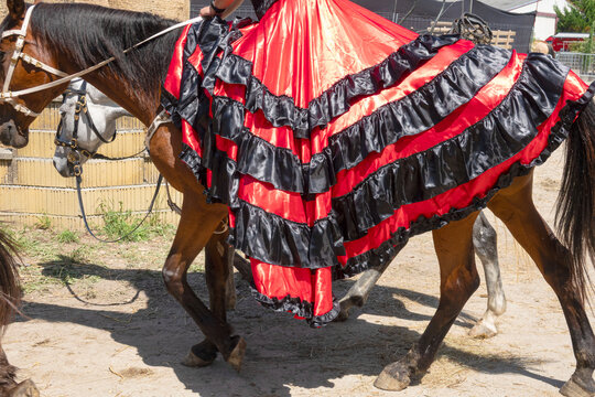The riders beautiful red skirt covers the horses croup