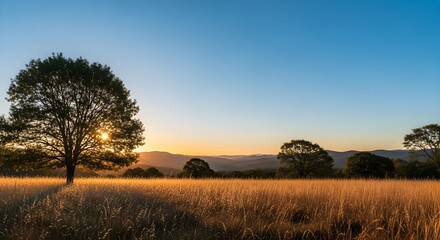 Fototapeta premium Sunset over grassy field with solitary tree and distant hills in serene natural landscape view
