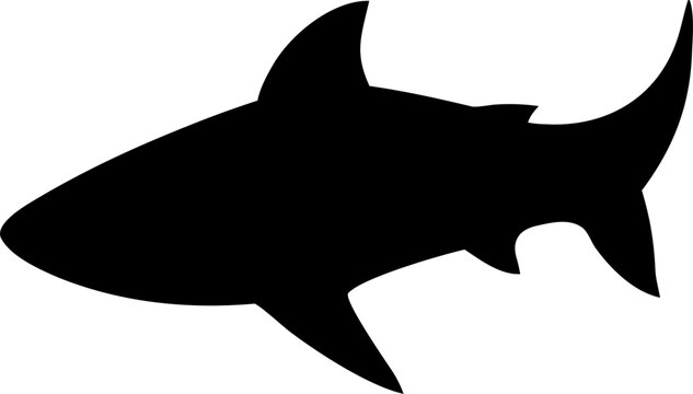 Shark Silhouette SVG Vector Illustration for Marine Projects