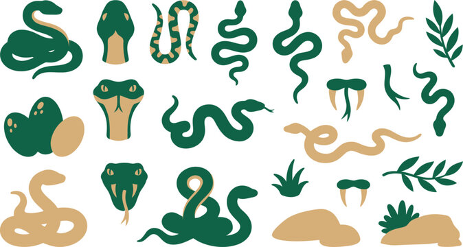 Diverse collection of minimalist green and beige snake vector illustrations featuring various winding serpent poses