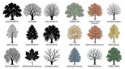 Collection of Diverse Tree Silhouettes and Illustrations © Sepeda