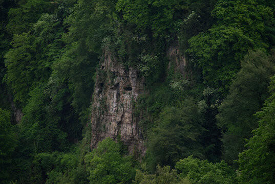 Rock face at Symonds Yat, where Peregrine Falcons nest. Gloucestershire UK