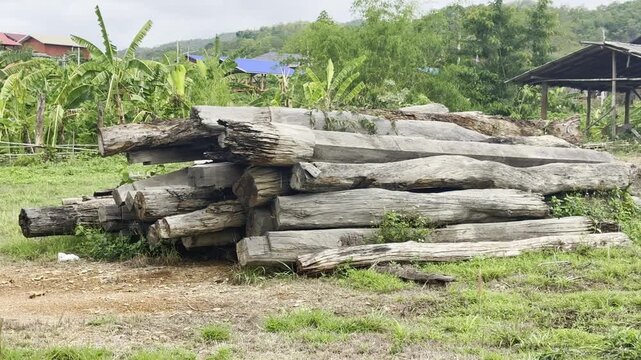 Piles of old wooden posts, logs, and timbers.