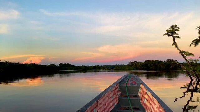 Natural scene of Cuyabeno Grande Lagoon with lush vegetation and sunset sky