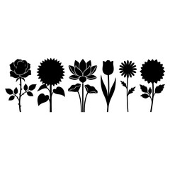 Fototapeta premium Collection of Black Silhouette Flowers Including Rose Sunflower Lotus Tulip and Daisy