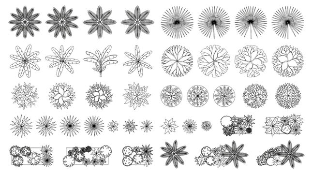 Extensive collection of diverse CAD plant symbols for architectural landscape design and planning, offering comprehensive top-down views for professional drawings and site layouts