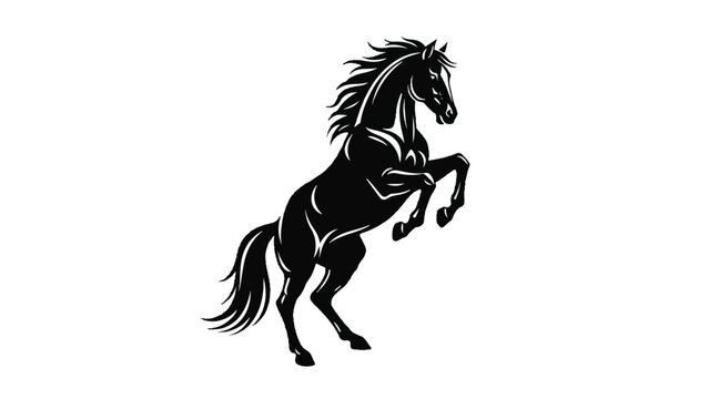 Black Horse Illustration Rearing on Hind Legs.