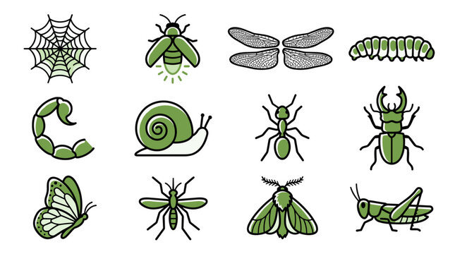 Collection of stylized green insect and arachnid icons including a spider web, firefly, dragonfly, caterpillar, scorpion, snail, ant, beetle, butterfly, mosquito, moth, and grasshopper