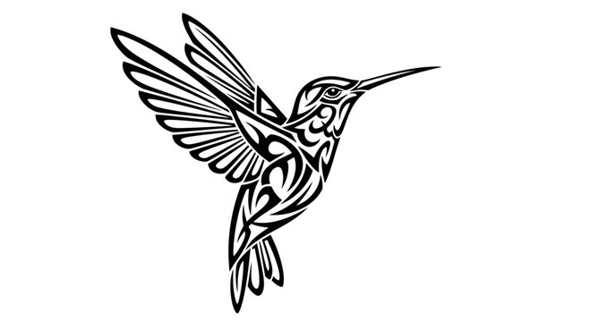Hummingbird in Flight with Spread Wings.