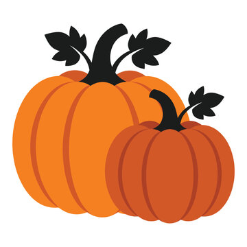 Two orange pumpkins with black stems and leaves on white background icon