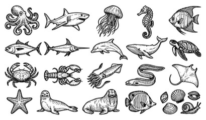 Obraz premium Sea Life Outline Coloring Book Animals with Octopus Shark Jellyfish and Fish Hand Drawn Vector Set