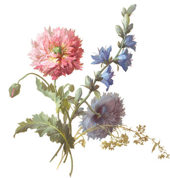 Carnations and bluebells