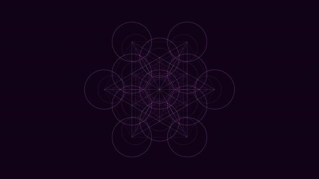 4K UHD seamless loop of a glowing violet metatron cube sacred geometry pattern breathing in radial symmetry and slow mathematical perfection. Ideal hypnotic background for meditation, yoga studios