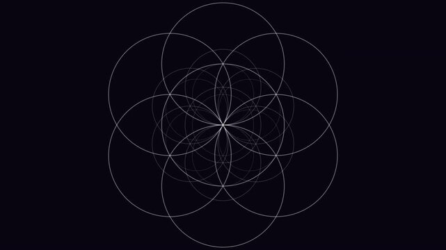 4K UHD seamless loop of a glowing white seed of life sacred geometry pattern breathing in radial symmetry and slow mathematical perfection. Ideal hypnotic background for meditation, yoga studios