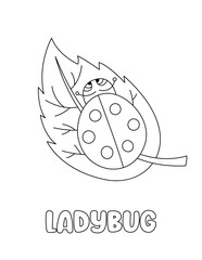 Naklejka premium Letter L. Ladybug on leaf. Learning ABC coloring page for kids. Black and white hand drawn vector illustration for children. Cute outline drawing and text for coloring. Preschool, kindergarten