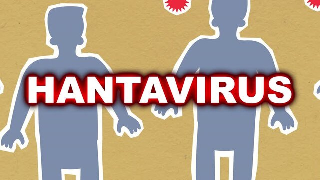 Hantavirus Educational Animation Featuring Human Silhouette Vector Graphics And Text Overlay