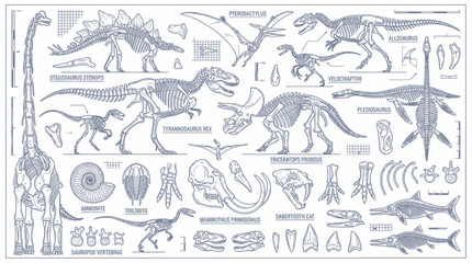 Dinosaur Skeletons Collection - Prehistoric Animals Scientific Illustration © aa