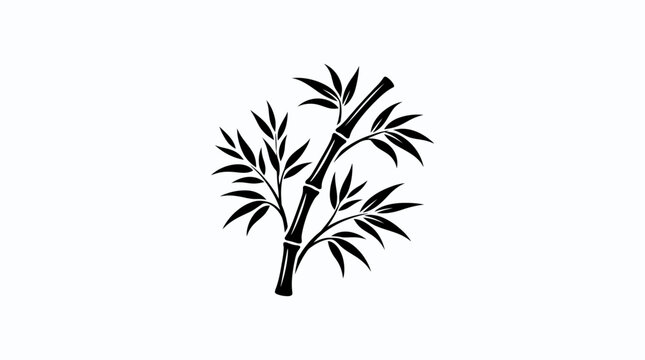 Bamboo plant branch with leaves.