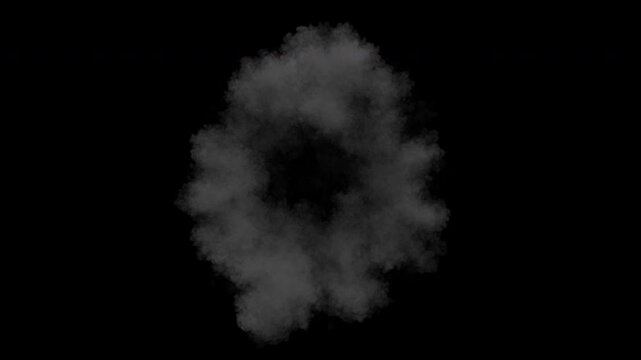 A grey smoke ring appears, expanding outwards and becoming lighter. It slowly fades away completely on Transparent Background with Alpha Channel