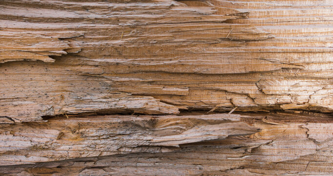 Rustic horizontal banner featuring a deeply cracked and ripped light brown wood surface, torn timber showing rough horizontal grain and broken wood fibers
