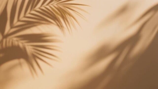Tropical palm leaf shadows on warm beige wall, luxury resort aesthetic, natural sunlight, wellness atmosphere, minimalist background, hospitality branding, abundant copy space, serene lifestyle