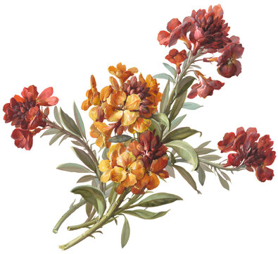 bouquet of flowers