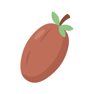 Tropical sapodilla fruit icon for healthy food and nutrition isolated on white background.