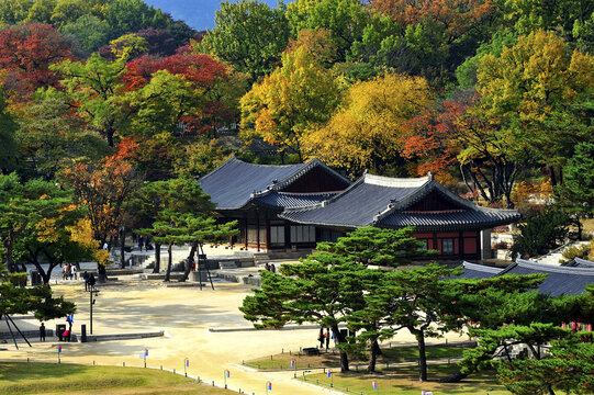 통명전,보물818호,양화당,창경궁,사적123호,종로구,서울