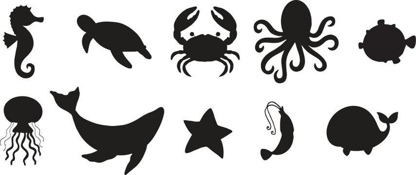 Underwater sea creatures silhouettes