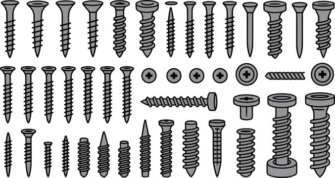 Assorted Screw Fastener Vector Set with Wood Screws Self Tapping Screws and Hardware Components
