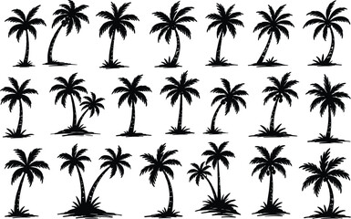 Fototapeta premium Black Palm Tree Silhouette Collection Set Hand Drawn Tropical Coconut Trees Vector Pack, Brush Ink Scribble Exotic Summer Nature Graphics, Botanical Elements