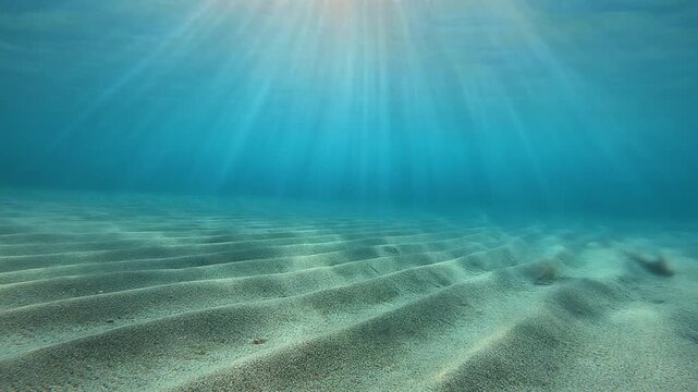Underwater sandy seabed with natural light rays creating a serene motion video clip for background projects