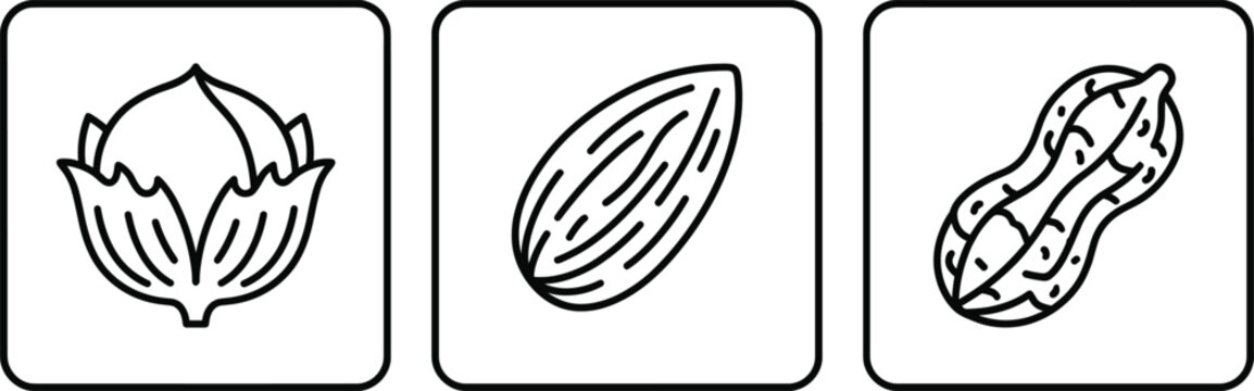 Edible nuts and healthy snack line icon set featuring hazelnut almond peanut in square buttons vector illustration