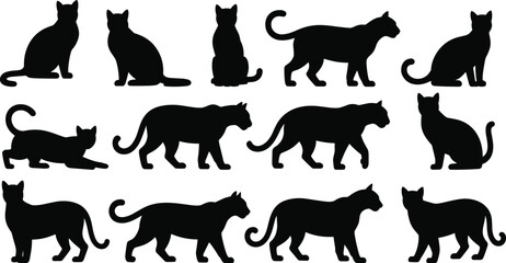 Collection of panther and wild cat silhouettes isolated on gray background vector set for wildlife and logo design © Sreejoynaraon
