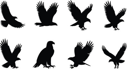 Naklejka premium Eagle Silhouette Collection with Flying Hunting and Perched Birds of Prey Vector Illustration Set