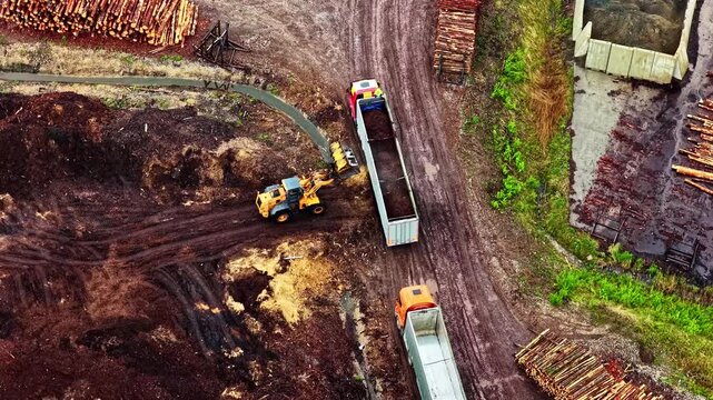 High angle shot of a wheel loader moving wood waste and trucks transporting materials at a large scale industrial sawmill. Showcases timber processing and sustainable forestry logistics.