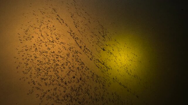 Low-angle view of an alphanumeric particle swarm undulating across a backlit, warm parchment space. Great for backdrops exploring computational linguistics, machine translation, and cognitive memory s