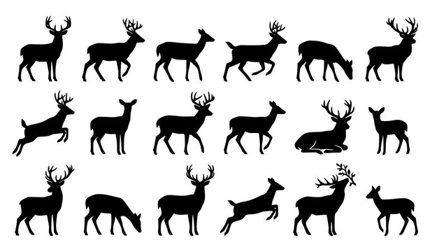 Premium Black Deer Silhouette Vector Set with Diverse Wildlife Animal Shapes Isolated