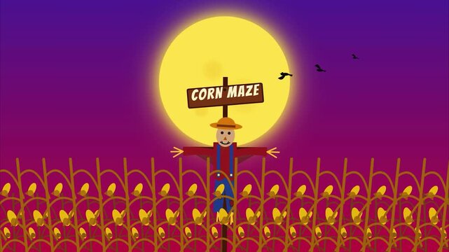 Scarecrow in corn maze field night full moon flying birds Cartoon flat illustration animation background for autumn fall festival Halloween thematic storytelling